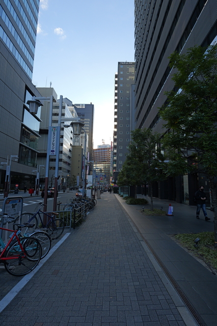 P1015230.JPG
